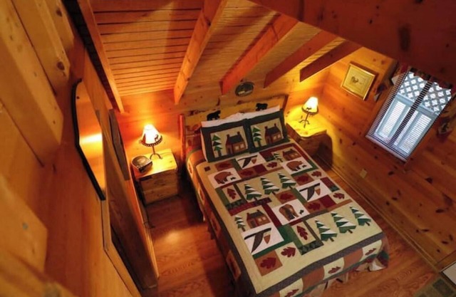 Cute updated Mountain Cabin w/fireplace #3