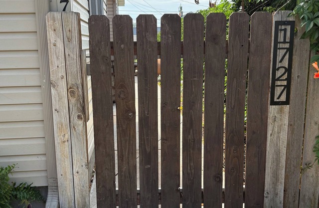 Cutest Coop on Cooper Street for YOU and Your Furry Friends!