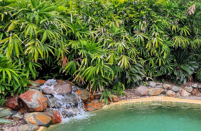 Cycad House: Big Family Home with waterfall plunge pool