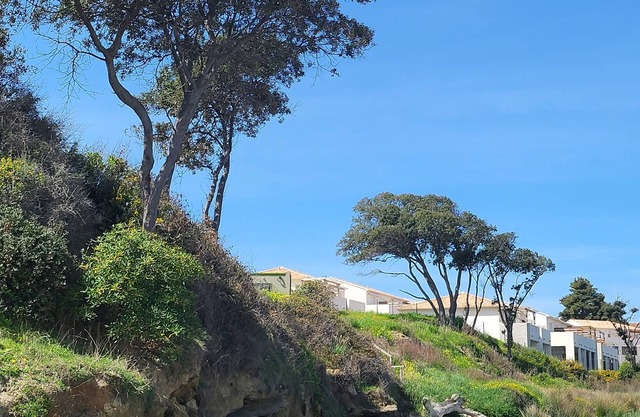 Délices de Sable au Soleil en Tout Compris