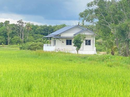 D'Bendang Homestay