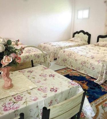 Daddy's homestay