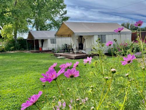 Daisy Glamping Tent at Zenzen Gardens