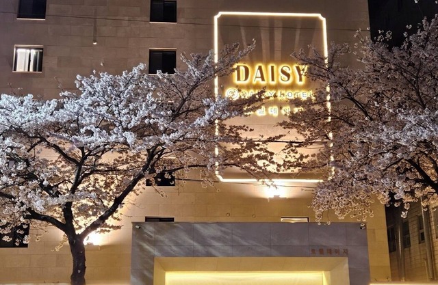 Daisy Hotel