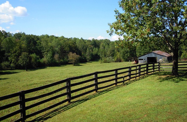 Dale Hollow Cabin Next To State Park With Free Fire Pit & COVERED Boat Slip