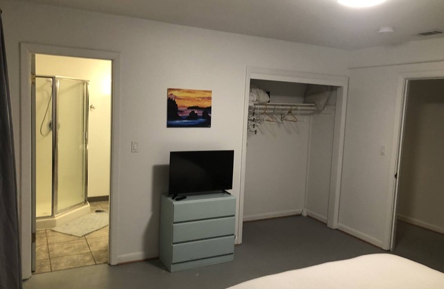Daylight Basement Studio