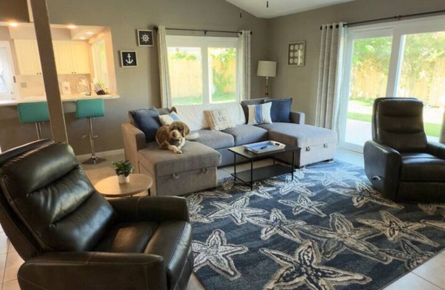Daytona Drift Pet Friendly Clean & Affordable