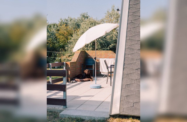 Finnhütte 05 - Finnhütten Markgrafenheide