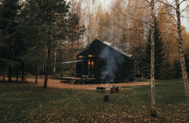 Deer Station. Dream black cabin in the woods.