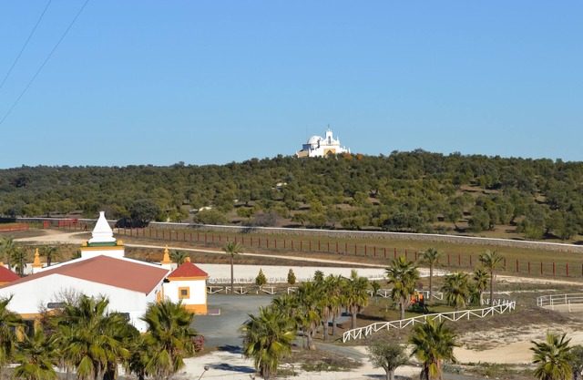 DEHESA YERBABUENA - ROOM FOR RENT
