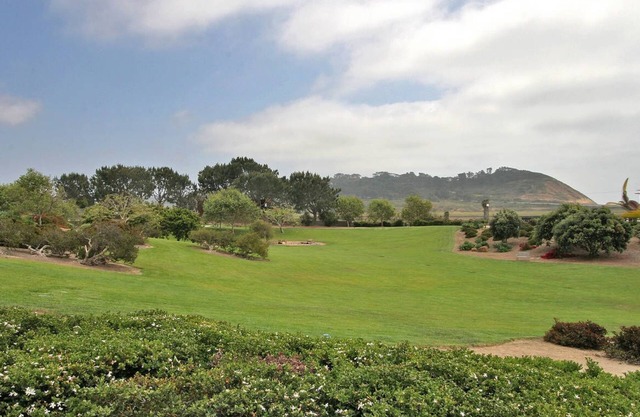 Del Mar Luxury Ocean View Condo -Steps to Torrey Pines State Beach -