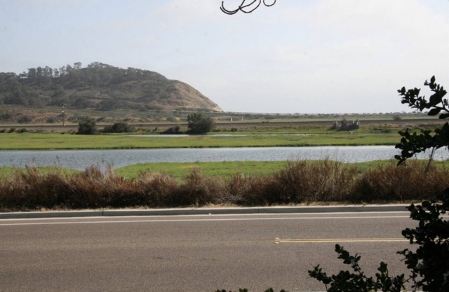 Del Mar - Torrey Pines Beach Getaway! Walk to Beaches, Hiking & Restaurants!