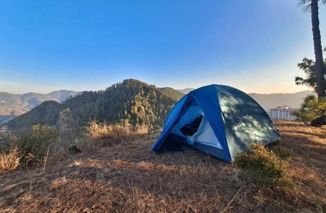 Delicate camp A