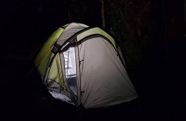 Delicate camp C