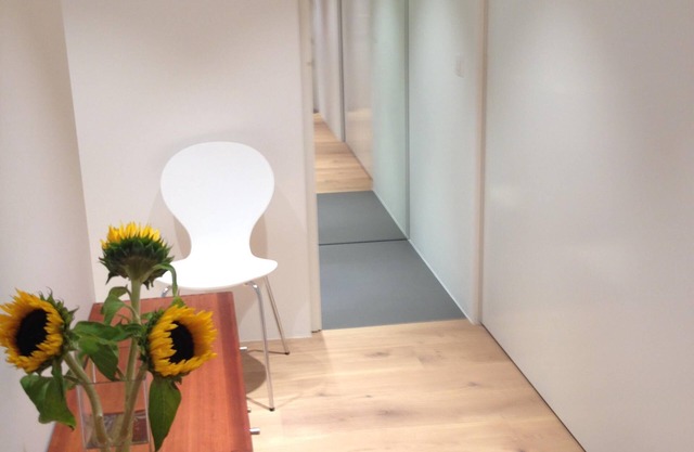 Deluxe Apartment, Vieux Carouge, Geneva's hidden secret