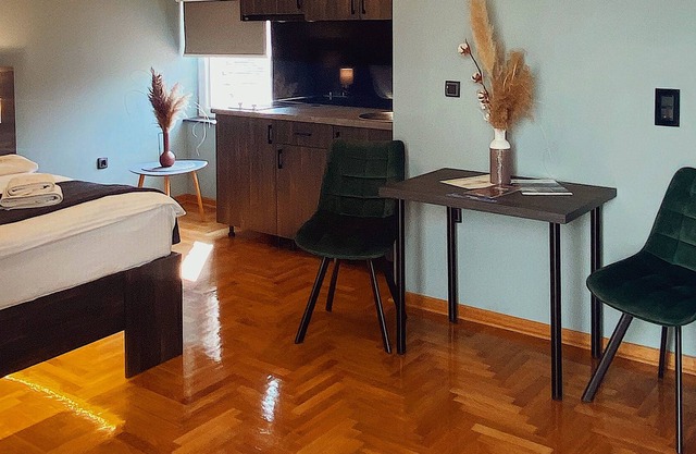 Deluxe studio apartment
