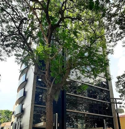 Departamento cómodo con excelente ubicación