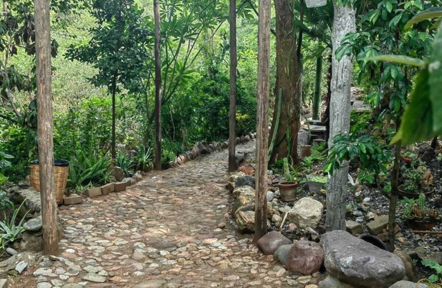 Departamento en medio de la naturaleza, ¡a solo 10 minutos del centro de Oaxaca!