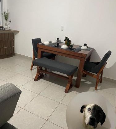 Departamento los pinos 1