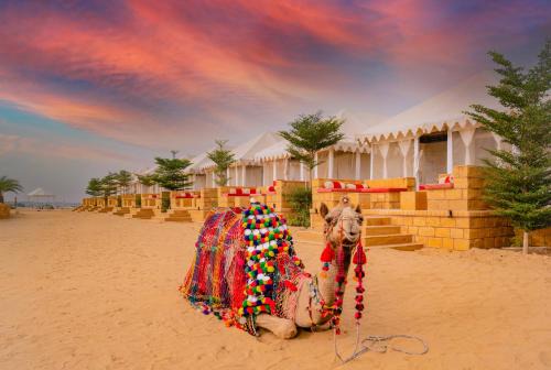 Desert Heritage Permium Camps