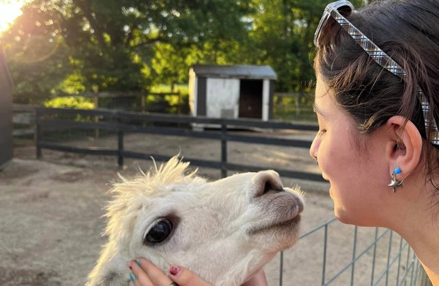 Destination Location! Farm Animals, Tours, Beaches