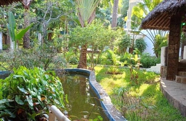 Diani Peaceful Garden