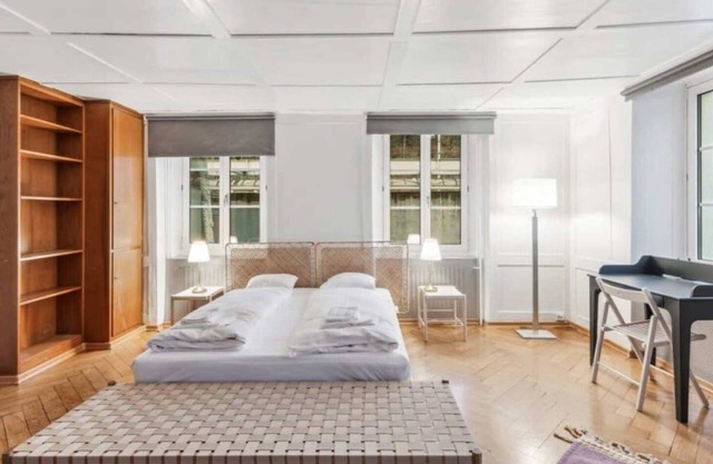 Dietikon Apartment with Fully Equipped Kitchen