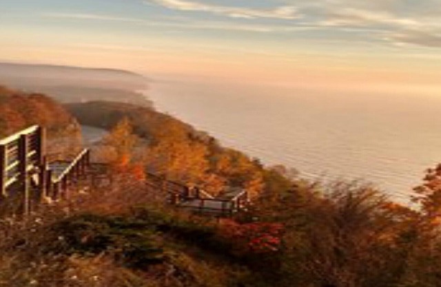 DIRECT Lake Michigan Access! WALK to Beach! Arcadia BLUFFS 2mi! 2 SEPARATE UNITS