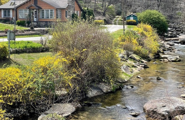 DISCOUNTED RATES FOR THE REMAINDER OF 2023! LOVELY 2BR/1BATH COTTAGE W/SUNPORCH, MOUNTAIN VIEWS, RIGHT ON REEDY PATCH CREEK!