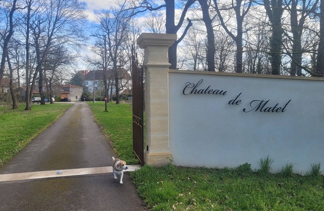 Discover the Gîte des Loges, a haven of peace in the heart of Château de Matel!