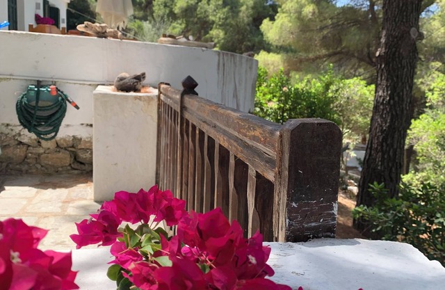 Discover Your Enchanting Retreat in Villa Rhodos Skiathos