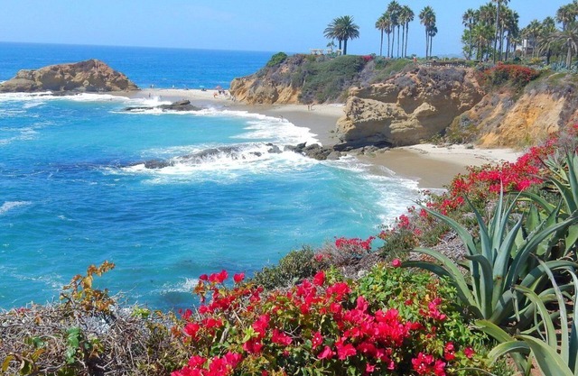 Disney, L. Saigon, Knotts, Beaches: Cozy House