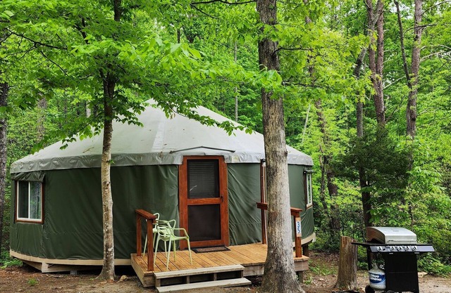 Dog friendly 30' Yurt, large dome skylight, king bed, 2 bedrooms, sleeps 6.