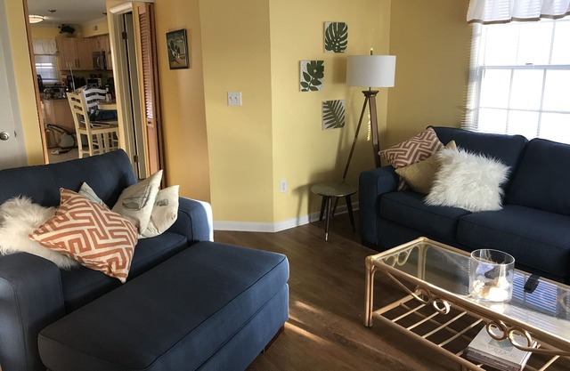 DOG FRIENDLY *DELUXE OCEAN BLOCK CONDO* Steps to the Beach! *