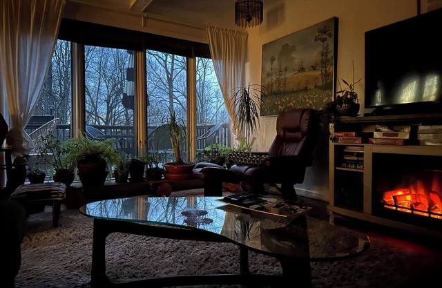 Dog loving, heated salt water pool, New Paltz retreat in the woods.