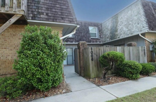 Doggy Dunes: Dogs Allowed | Community Pool