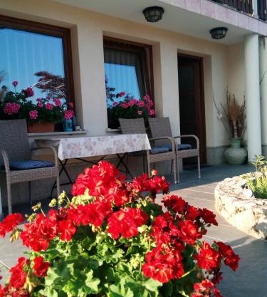 Dolenjska vila