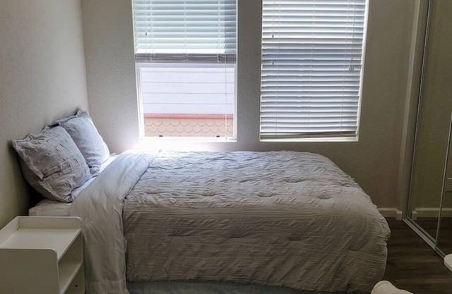 Dolphin Room | SJ Shark House