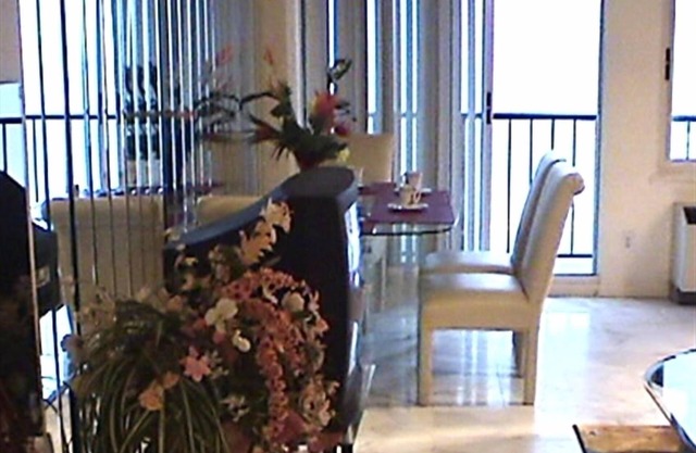 Dolphin Run Condo, 2 Bedroom 2 bath, Oceanfront, Dolphin Watch from balcony