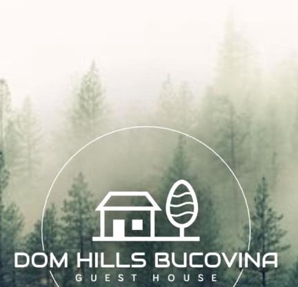 DOM HILLS Bucovina