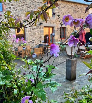 Domaine du tertre ychot