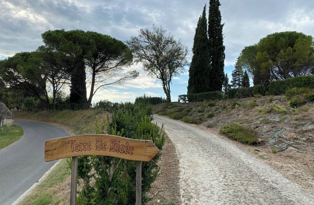 Domaine Terre de Blade, view of Josephine Baker's legacy
