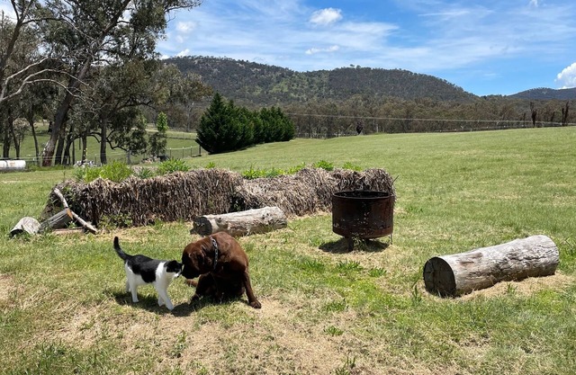 Donegal Farmstay