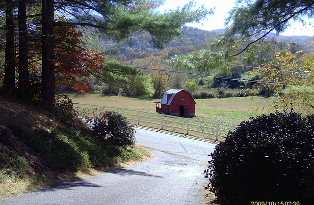 'Dood's Ranch', cozy mountain cottage on horse farm in Waynesville!
