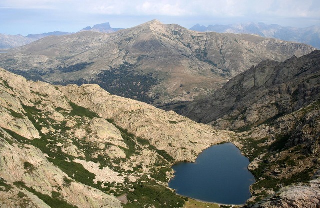 Downtown apartment - Goria