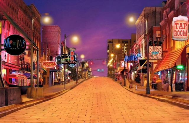Downtown Gem | Near Beale, Bars n Blues