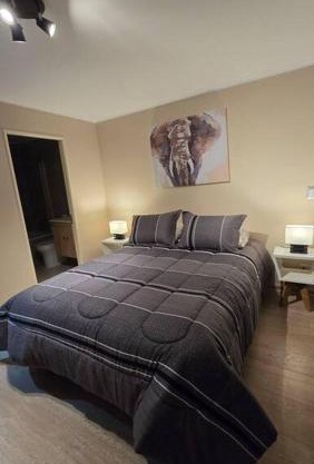 Dpto Nuevo Centro Osorno