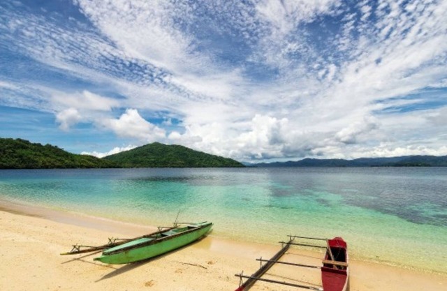 Driftwood Resort