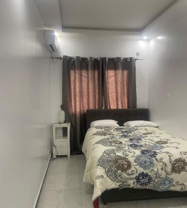 DS immobilier