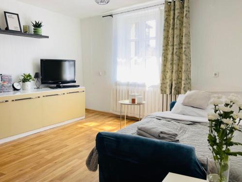 Duży apartament z kuchnią i łazienką